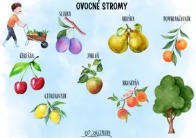 Náhľad - V záhrade, Záhrada, ovocné stromy - ZÁHRADKÁRSTVO - strana 2