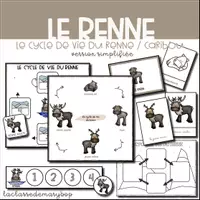 Aperçu - Affichage - Cycle de vie du renne/caribou - Version simplifiée - Page de couverture