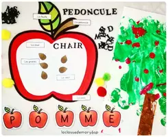 Aperçu - Fiches - L´intérieur d´une pomme - Page 1