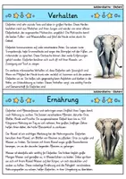 Vorschau - Bildkarten - Elefant - Wissenskartei - Tiere - Seite 2