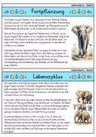Vorschau - Bildkarten - Elefant - Wissenskartei - Tiere - Seite 3