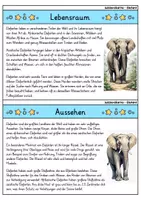 Vorschau - Bildkarten - Elefant - Wissenskartei - Tiere - Seite 1