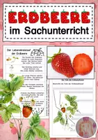 Vorschau - Arbeitsblätter - Erdbeere - Deckblatt