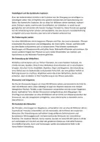 Vorschau - Arbeitsblätter - Der Stammbaum des Lebens - Wie hat sich das Leben auf der Erde entwickelt? - Seite 2