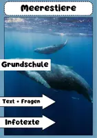 Vorschau - Arbeitsblätter - Meerestiere Vielfalt: Fische, Wale, Delfine, Korallenriffe, Krebstiere, Quallen - Deckblatt