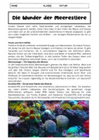 Vorschau - Arbeitsblätter - Meerestiere Vielfalt: Fische, Wale, Delfine, Korallenriffe, Krebstiere, Quallen - Seite 1