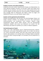 Vorschau - Arbeitsblätter - Meerestiere Vielfalt: Fische, Wale, Delfine, Korallenriffe, Krebstiere, Quallen - Seite 2