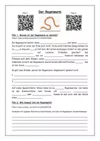 Vorschau - Arbeitsblätter - Fragen zum Film: Der Regenwurm - Seite 1