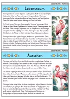 Vorschau - Bildkarten - Flamingo - Wissenskartei - Tiere - Seite 1
