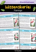 Vorschau - Bildkarten - Flamingo - Wissenskartei - Tiere - Deckblatt