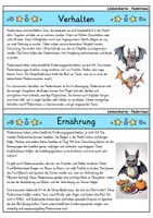 Vorschau - Bildkarten - Fledermaus - Wissenskartei - Tiere - Seite 2
