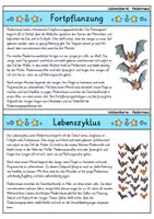 Vorschau - Bildkarten - Fledermaus - Wissenskartei - Tiere - Seite 3