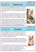 Vorschau - Bildkarten - Fuchs - Wissenskartei - Tiere - Seite 1