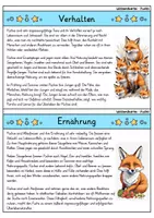 Vorschau - Bildkarten - Fuchs - Wissenskartei - Tiere - Seite 2