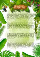 Vorschau - Unterrichtsreihen - Tropischer Regenwald Unterrichtsmaterial Erdkunde Biologie Klasse 8–10 – Arbeitsblätter, Stockwerke, Tropen Klima, Abholzung, Palmöl, Klimawandel mit Lösungen - Seite 2