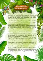 Vorschau - Unterrichtsreihen - Tropischer Regenwald Unterrichtsmaterial Erdkunde Biologie Klasse 8–10 – Arbeitsblätter, Stockwerke, Tropen Klima, Abholzung, Palmöl, Klimawandel mit Lösungen - Seite 3