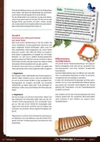 Vorschau - Stundenentwürfe - Rotkäppchen - Vertonung eines Märchens - Seite 2
