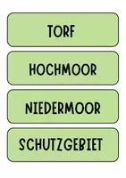 Vorschau - Poster - Ökosystem Moor - Tafelkarten mit Begriffen für Tafelbilder und Diskussion - Deckblatt