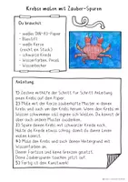 Vorschau - Stundenentwürfe - Kunst im Sommer, Krebse malen mit magischen Zauberspuren, Kunstprojekt - Seite 2