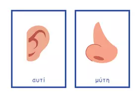 Προεπισκόπηση - Flashcards - Ελληνικές + Αγγλικές κάρτες με "Μέρη του σώματος" - Σελίδα 1