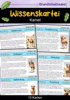 Vorschau - Bildkarten - Kamel - Wissenskartei - Tiere - Deckblatt