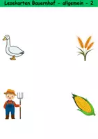 Vorschau - Arbeitsblätter - Lesekarten Bauernhof schwer - DaZ/DaF, Deutsch (Grundschule) - Seite 2