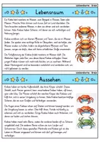 Vorschau - Bildkarten - Krebs - Wissenskartei - Tiere - Seite 1
