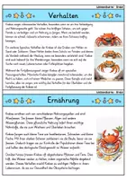 Vorschau - Bildkarten - Krebs - Wissenskartei - Tiere - Seite 2