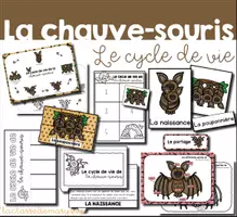 Aperçu - Affichage - Le cycle de vie de la chauve-souris - Page de couverture
