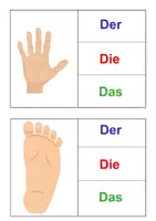 Vorschau - Bildkarten - bestimmter Artikel Körper Bildkarten/ Klammerkarten - Seite 1