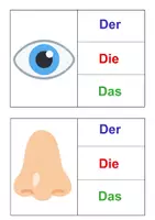 Vorschau - Bildkarten - bestimmter Artikel Körper Bildkarten/ Klammerkarten - Seite 2
