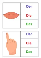 Vorschau - Bildkarten - bestimmter Artikel Körper Bildkarten/ Klammerkarten - Seite 3