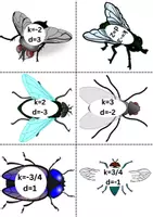 Vorschau - Spiele - Fliegenklatschen - lineare Funktionen - Seite 3