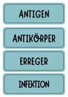 Vorschau - Poster - Immunsystem Tafelkarten mit Begriffen - Seite 3