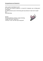 Vorschau - Arbeitsblätter - Reflexion Schuljahr Deutsch - Deckblatt