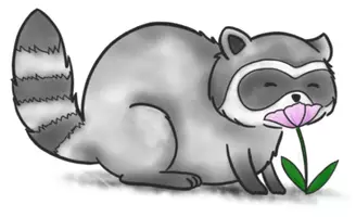 Vorschau - Mal- und Bastelvorlagen - Waschbär der an Blume riecht - Clipart Grafiken - Seite 1