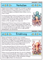 Vorschau - Bildkarten - Oktopus - Wissenskartei - Tiere - Seite 2
