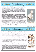 Vorschau - Bildkarten - Pferd - Wissenskartei - Tiere - Seite 3