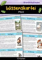 Vorschau - Bildkarten - Pferd - Wissenskartei - Tiere - Deckblatt