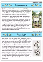 Vorschau - Bildkarten - Pferd - Wissenskartei - Tiere - Seite 1