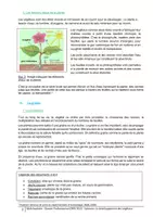 Aperçu - Préparation de séance / Séance complète - Dossier Prof CRPE : Séquence de Science La germination - Page 1