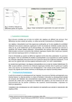 Aperçu - Préparation de séance / Séance complète - Dossier Prof CRPE : Séquence de Science La germination - Page 2