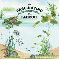 Aperçu - Autre type de ressources - Lifecycle of a Frog - Livre illustré / Anglais. - Page 1