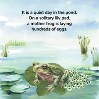 Aperçu - Autre type de ressources - Lifecycle of a Frog - Livre illustré / Anglais. - Page 2