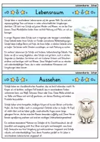 Vorschau - Bildkarten - Schaf - Wissenskartei - Tiere - Seite 1