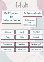 Vorschau - Präsentationen/Tafelbilder - Tafelbild: Der Körperbau der Posthornschnecke - Weichtier - Seite 1