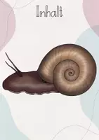 Vorschau - Präsentationen/Tafelbilder - Tafelbild: Der Körperbau der Posthornschnecke - Weichtier - Seite 2