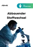 Vorschau - Unterrichtsreihen - Sparpaket XXL: Stoffwechsel - Assimilation und Dissimilation - Seite 1