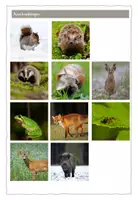 Vorschau - Arbeitsblätter - Tiere im Winter - Überwinterungsformen - Lesetexte + Arbeitsheft - Seite 3