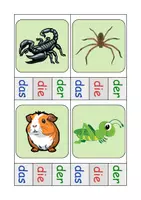 Vorschau - Arbeitsblätter - Haustiere Klammerkarten mit Lösung - DaZ/DaF, Deutsch (Klasse 1 und 2) - Seite 3